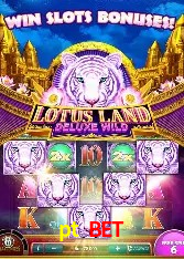 Responsive Design pt bet